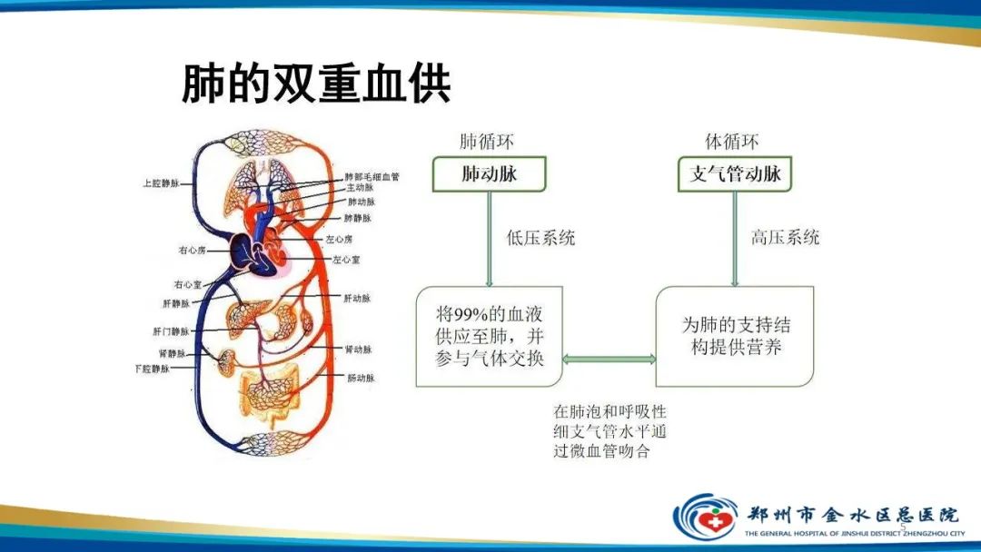 影像PPT - 【PPT】肺动脉CTA扫描技术-5