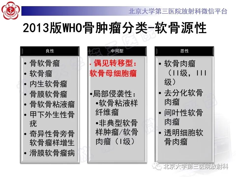 影像PPT - 【PPT】软骨母细胞瘤-14