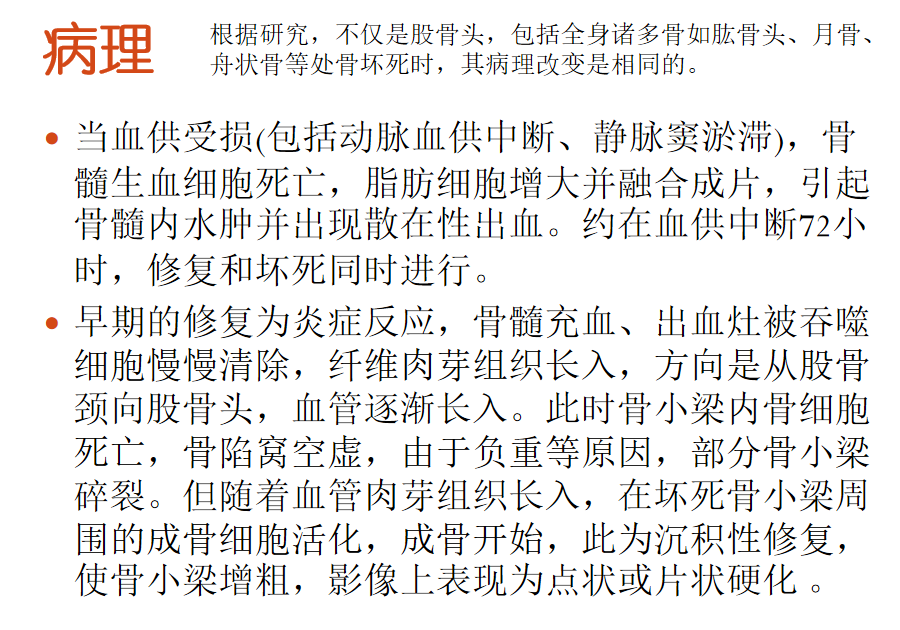 影像PPT - 【PPT】骨缺血坏死的影像诊断-8