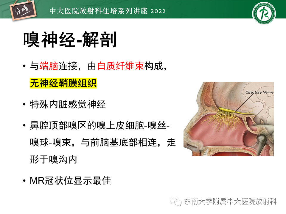 影像PPT - 【PPT】颅神经成像及常见病变-5