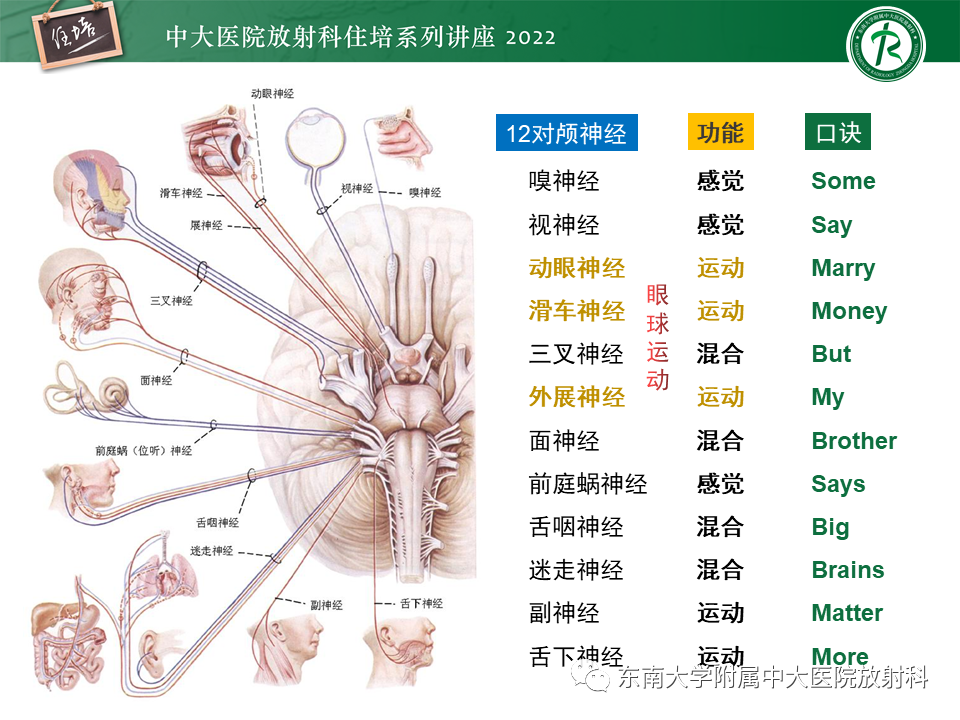 影像PPT - 【PPT】颅神经成像及常见病变-2