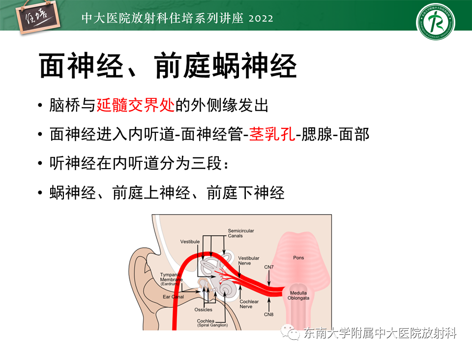 影像PPT - 【PPT】颅神经成像及常见病变-47
