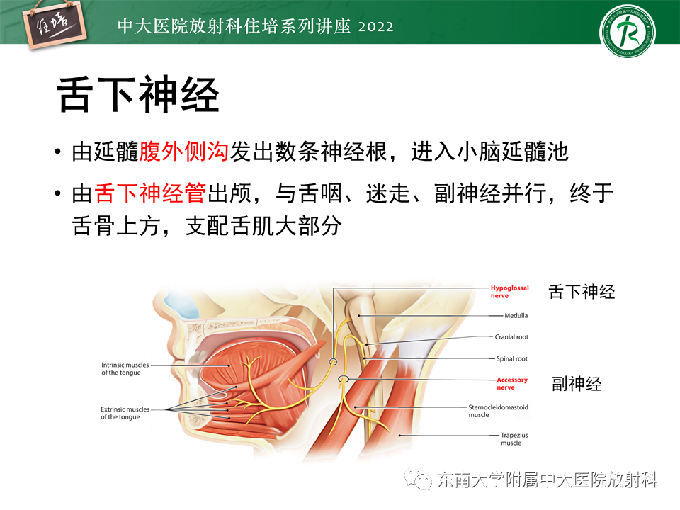 影像PPT - 【PPT】颅神经成像及常见病变-55