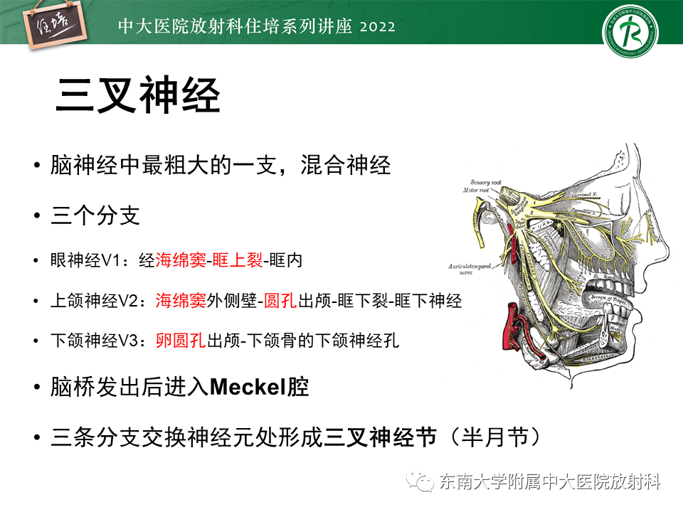 影像PPT - 【PPT】颅神经成像及常见病变-7