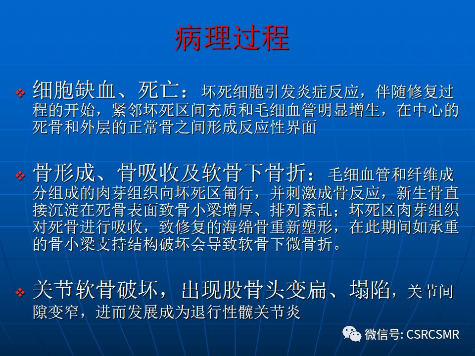 影像PPT - 【PPT】股骨头缺血坏死的大体标本、影像及病理-6