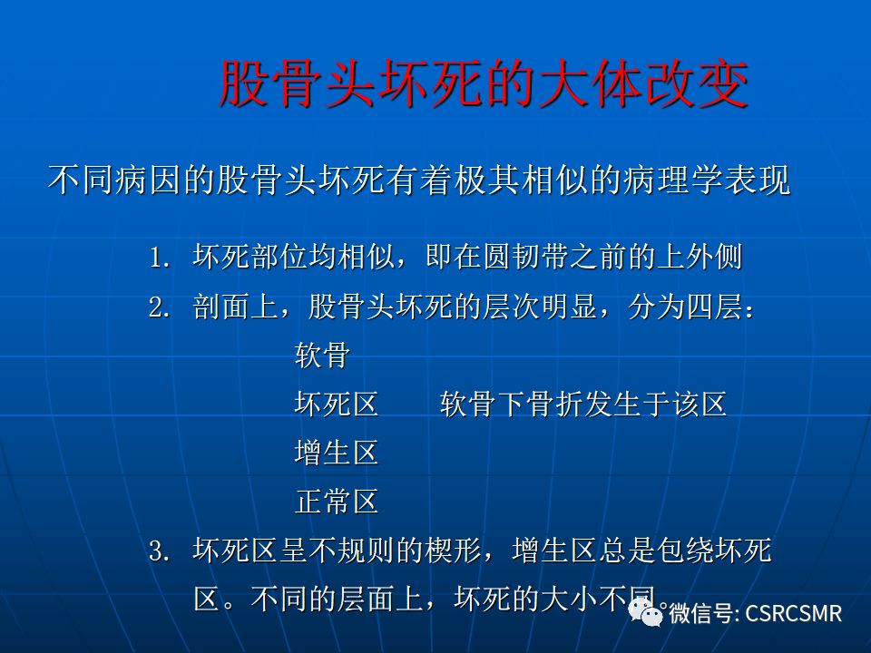 影像PPT - 【PPT】股骨头缺血坏死的大体标本、影像及病理-7