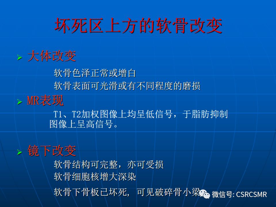 影像PPT - 【PPT】股骨头缺血坏死的大体标本、影像及病理-12