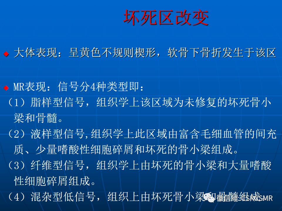 影像PPT - 【PPT】股骨头缺血坏死的大体标本、影像及病理-15