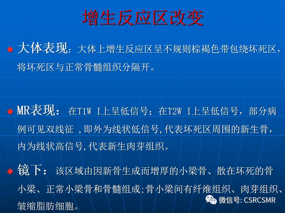影像PPT - 【PPT】股骨头缺血坏死的大体标本、影像及病理-16