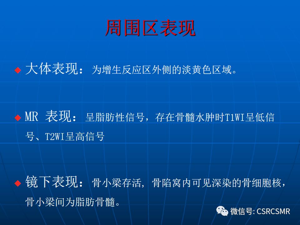 影像PPT - 【PPT】股骨头缺血坏死的大体标本、影像及病理-17