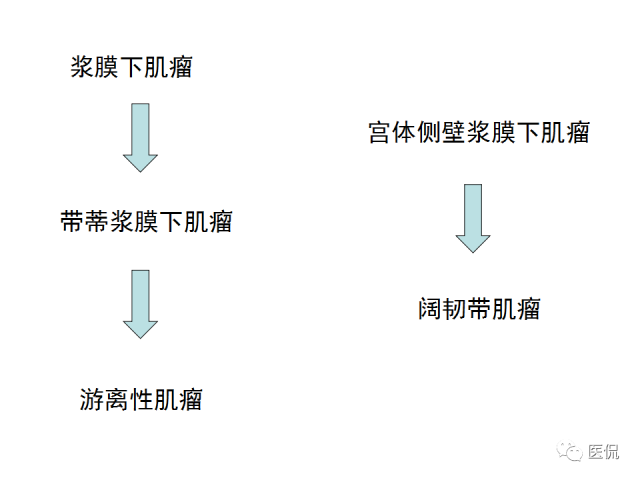 影像PPT - 【病例】子宫平滑肌瘤1例MR影像诊断-12