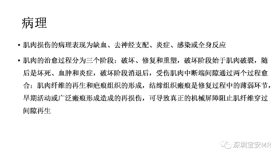 影像PPT - 【PPT】肌肉损伤和后遗症-3