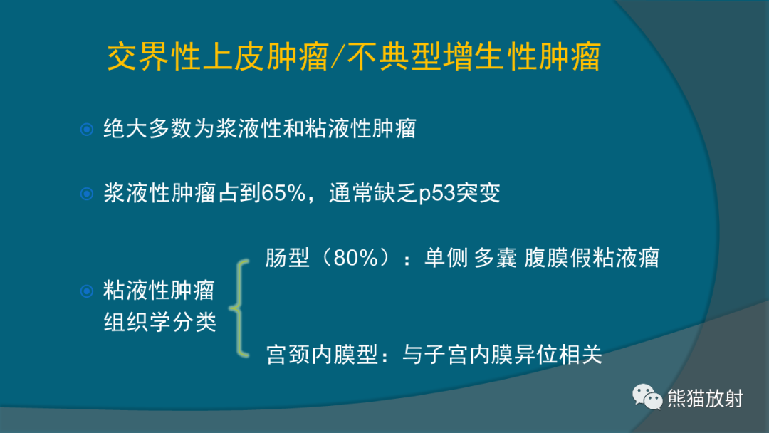影像PPT - 【PPT】常见卵巢上皮性肿瘤-10