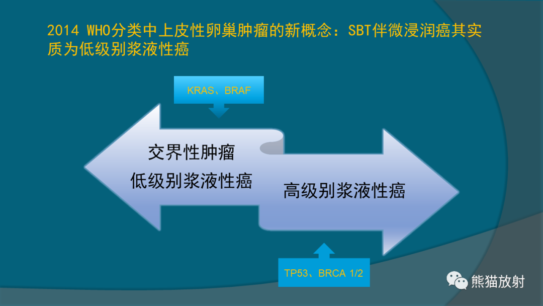 影像PPT - 【PPT】常见卵巢上皮性肿瘤-8