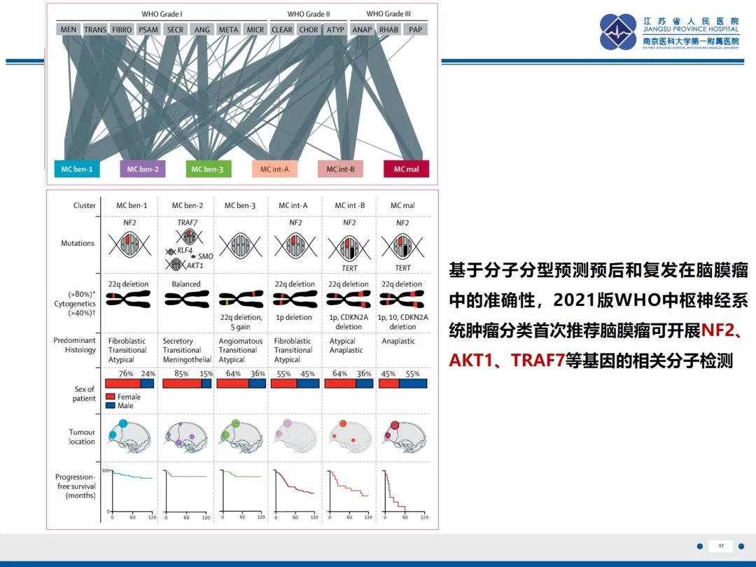 影像PPT - 【PPT】​罕见的肺内脑膜瘤结节—肺转移性脑膜瘤-18