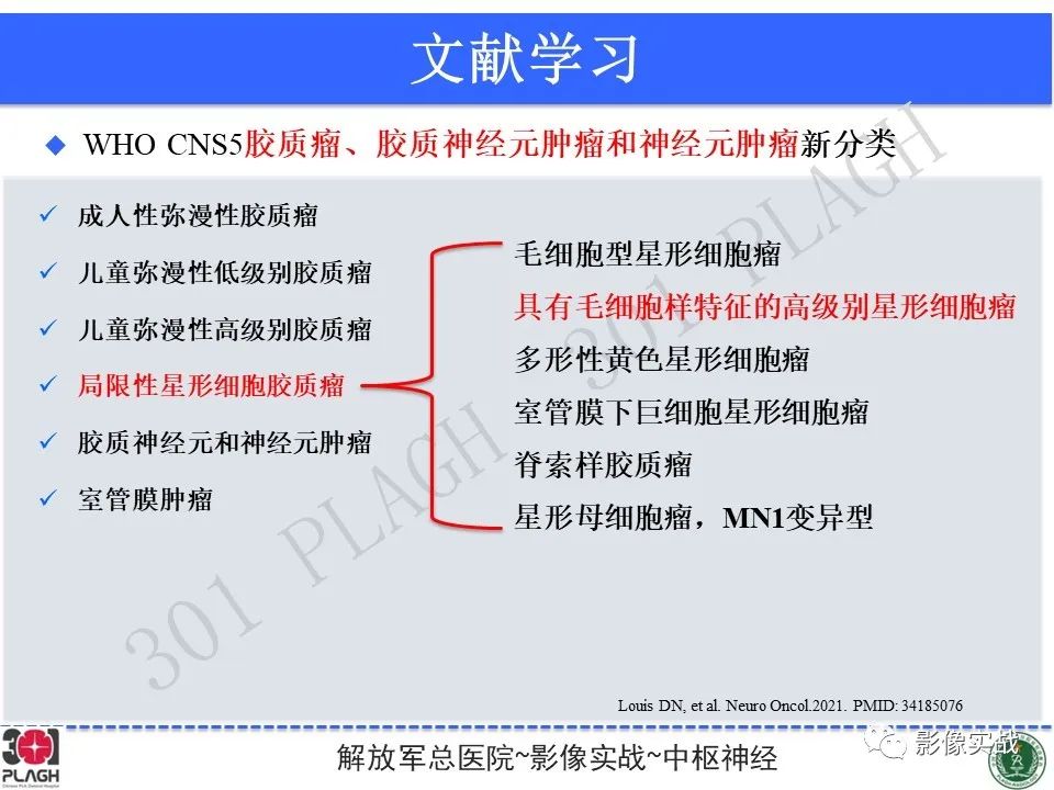 影像PPT - 【PPT】具有毛细胞样特征的高级别星形细胞瘤1例MR-39