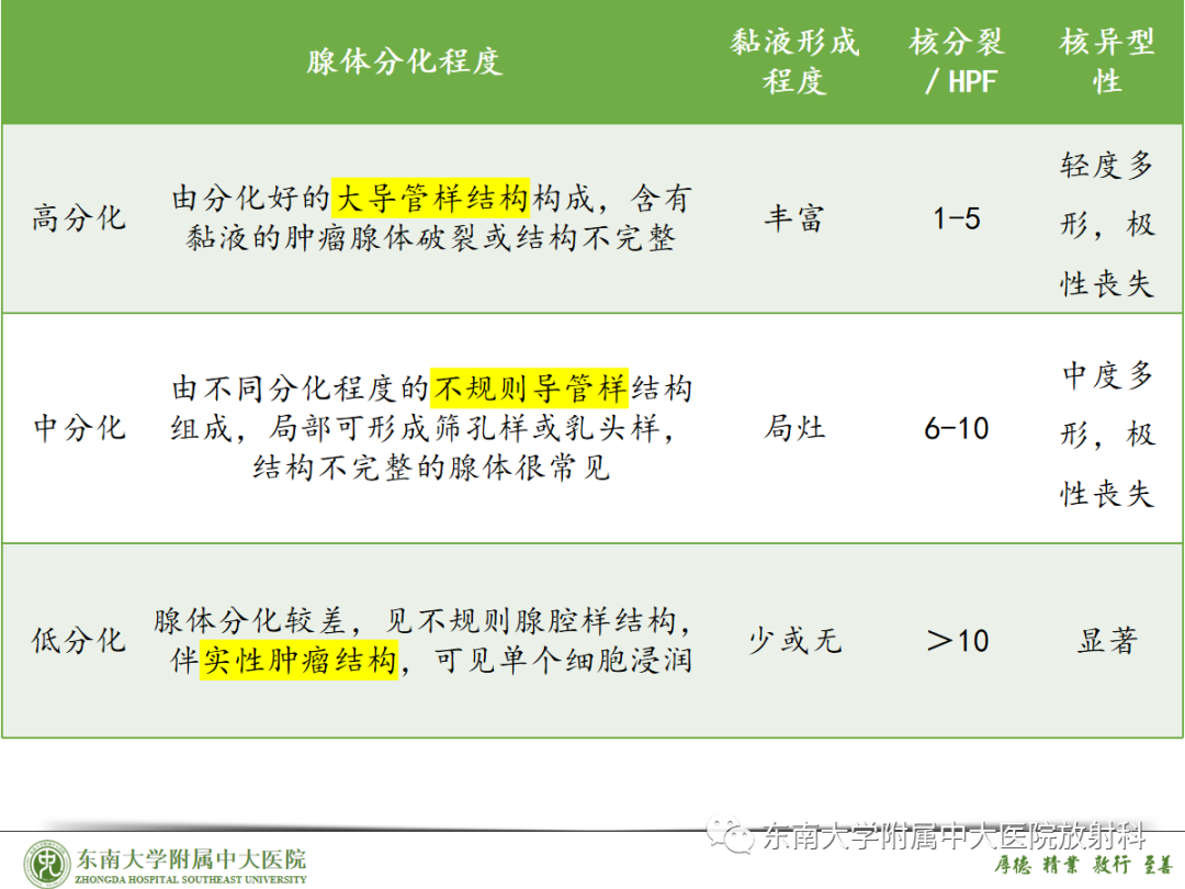 影像PPT - 【PPT】理影外合——胰腺癌-21