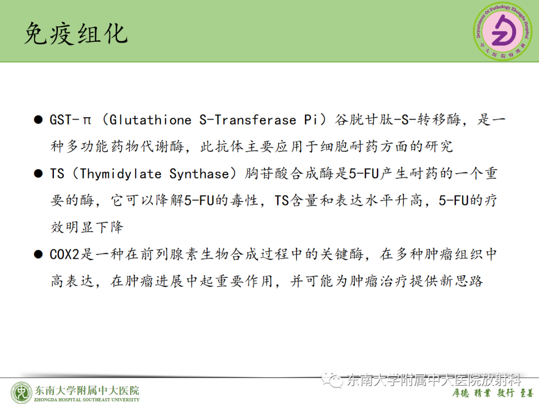 影像PPT - 【PPT】理影外合——胰腺癌-32