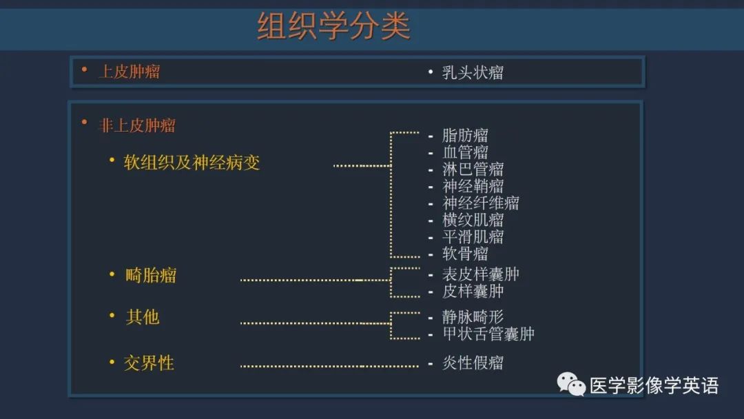 影像PPT - 【PPT】舌良性肿瘤及肿瘤样病变的MR表现及影像与病理对照分析-9 影像PPT - 【PPT】舌良性肿瘤及肿瘤样病变的MR表现及影像与病理对照分析-9
