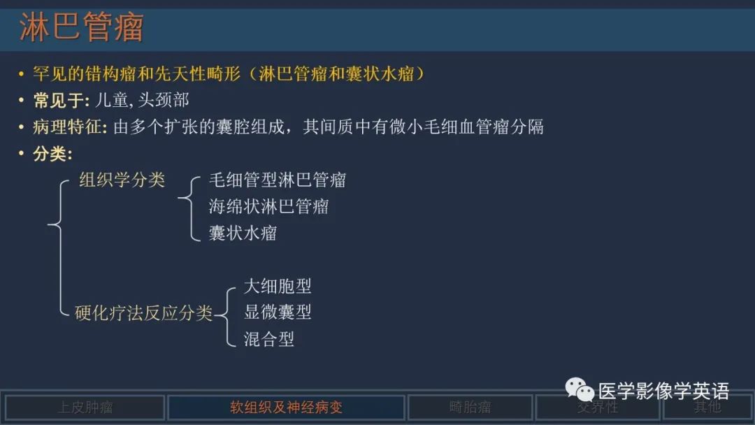 影像PPT - 【PPT】舌良性肿瘤及肿瘤样病变的MR表现及影像与病理对照分析-29 影像PPT - 【PPT】舌良性肿瘤及肿瘤样病变的MR表现及影像与病理对照分析-29