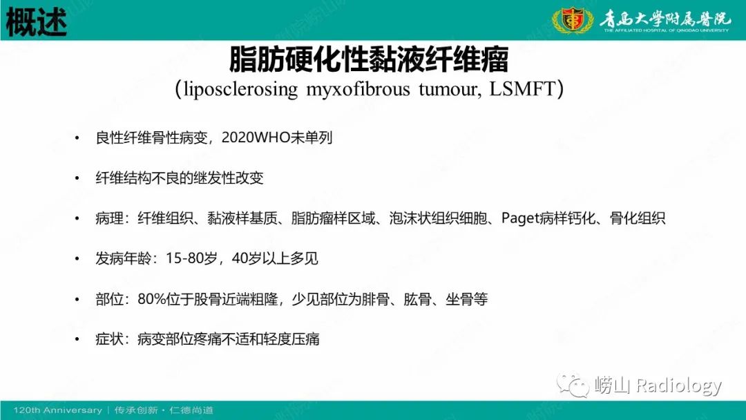 影像PPT - 【病例】脂肪硬化性黏液纤维性肿瘤1例X线CT及MR-12