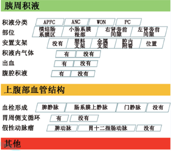 影像PPT - 急性胰腺炎国际结构化CT报告模板解读-2 影像PPT - 急性胰腺炎国际结构化CT报告模板解读-2