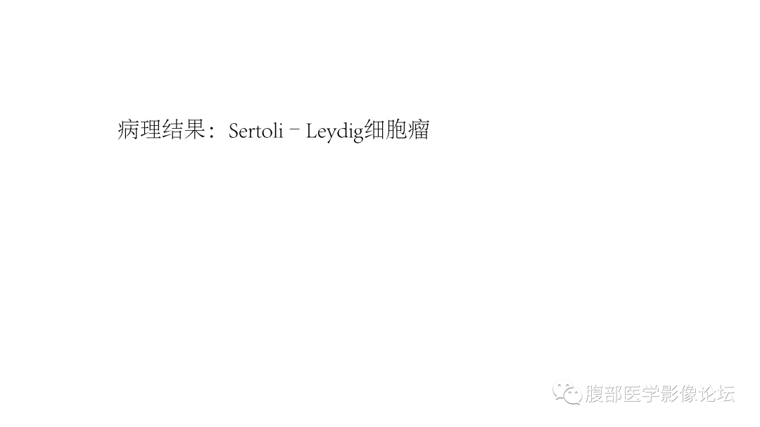 影像PPT - 【病例】卵巢罕见肿瘤Sertoli-Leydig细胞瘤1例MR影像-8