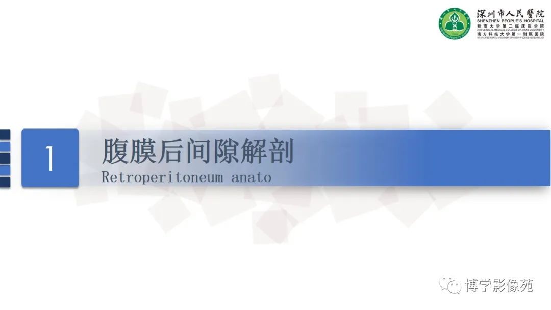影像PPT - 【PPT】腹膜后间隙解剖及相关疾病-3