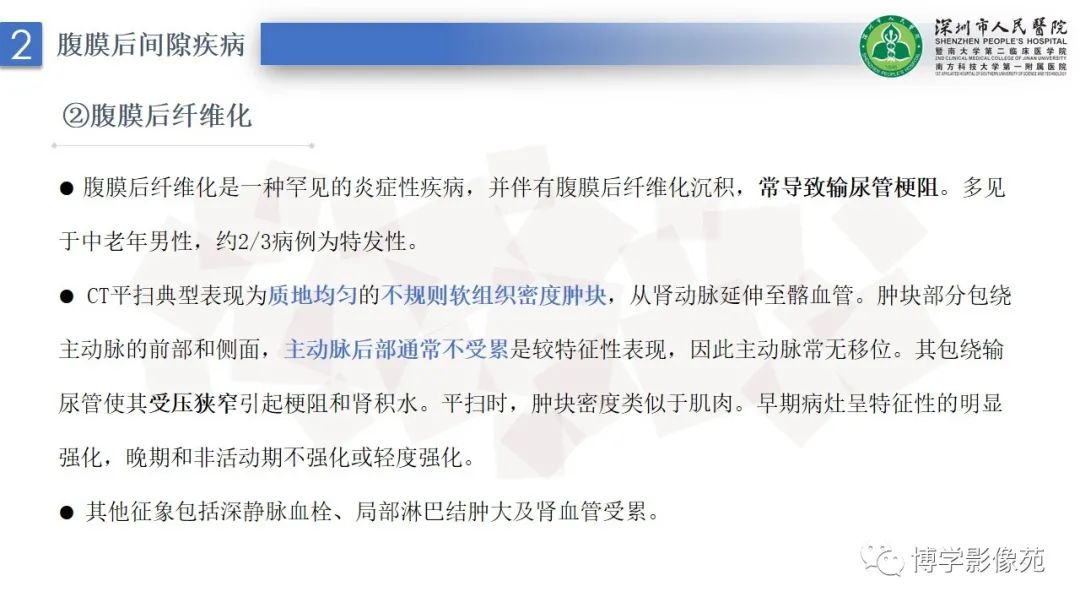 影像PPT - 【PPT】腹膜后间隙解剖及相关疾病-9