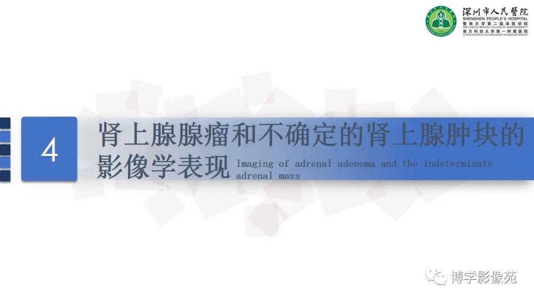 影像PPT - 【PPT】腹膜后间隙解剖及相关疾病-16
