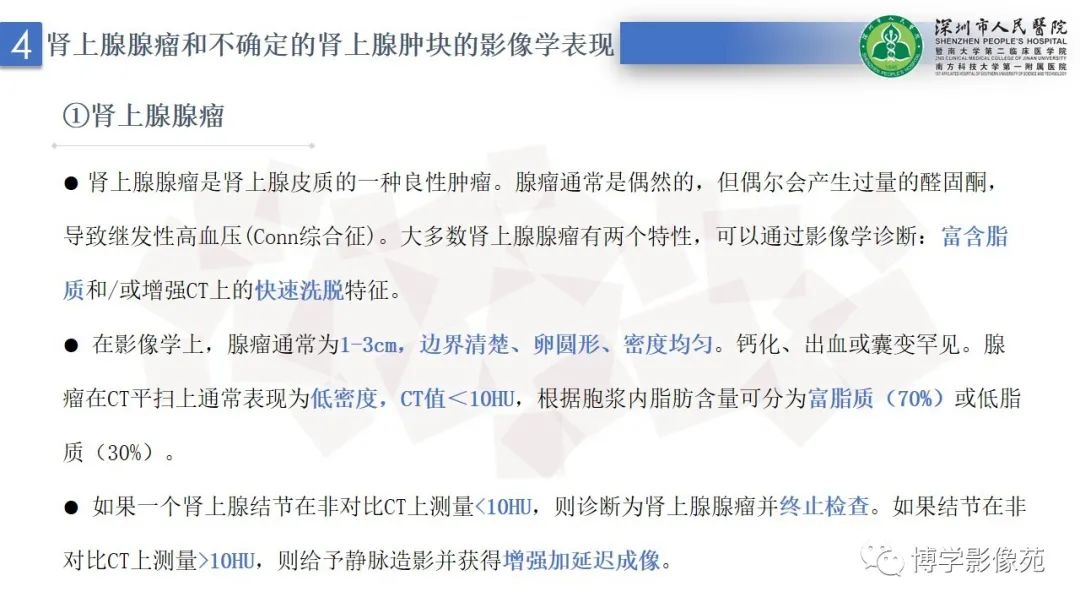影像PPT - 【PPT】腹膜后间隙解剖及相关疾病-17