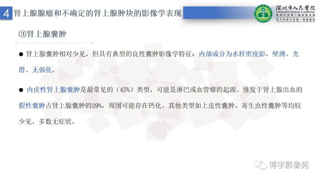 影像PPT - 【PPT】腹膜后间隙解剖及相关疾病-23