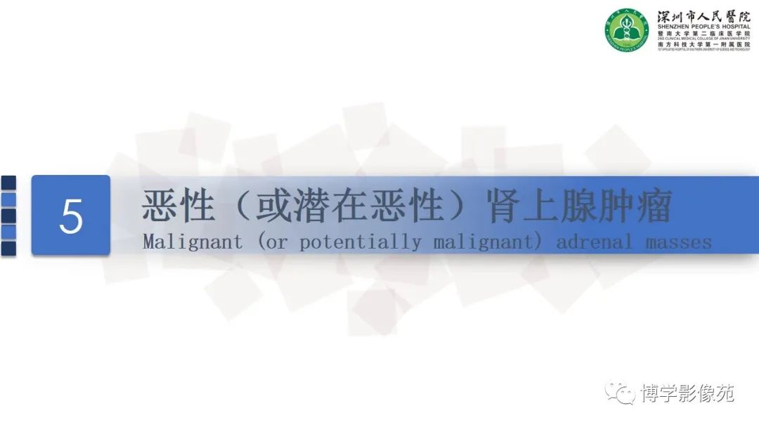 影像PPT - 【PPT】腹膜后间隙解剖及相关疾病-25