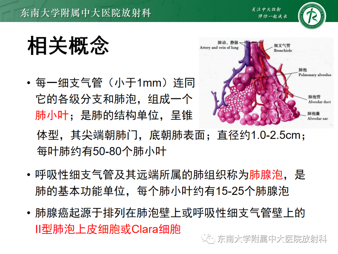 影像PPT - 【PPT】基于病理基础的肺腺癌影像学表现-7