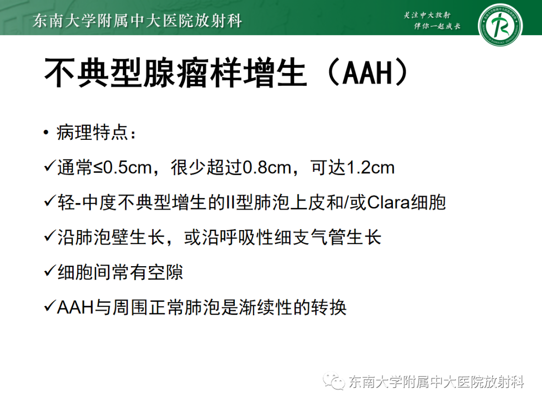影像PPT - 【PPT】基于病理基础的肺腺癌影像学表现-21