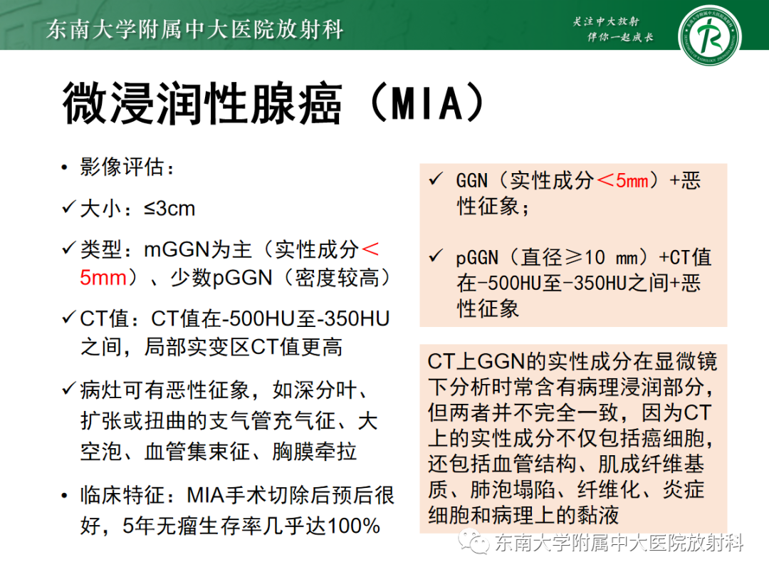 影像PPT - 【PPT】基于病理基础的肺腺癌影像学表现-29