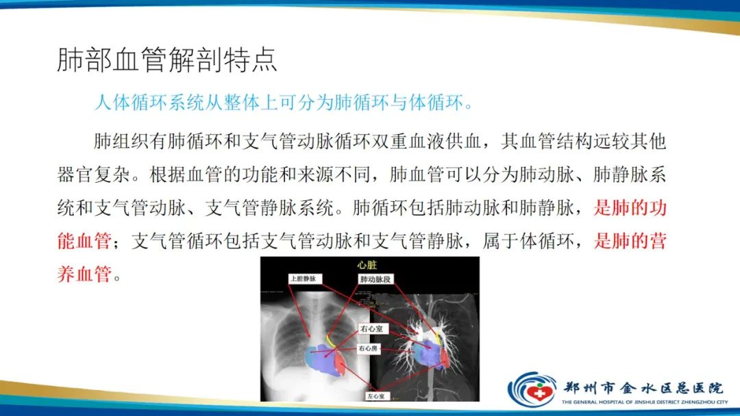 影像PPT - 【PPT】肺动脉CTA扫描技术-3