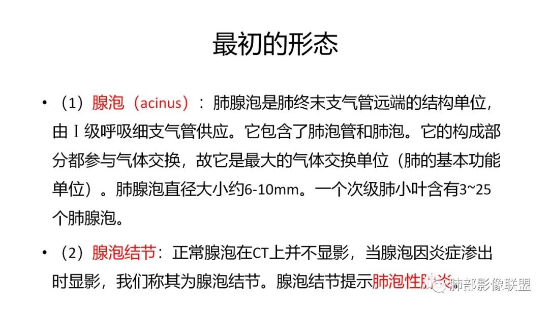 影像PPT - 【PPT】肺炎影像的三个基础问题-5 影像PPT - 【PPT】肺炎影像的三个基础问题-5