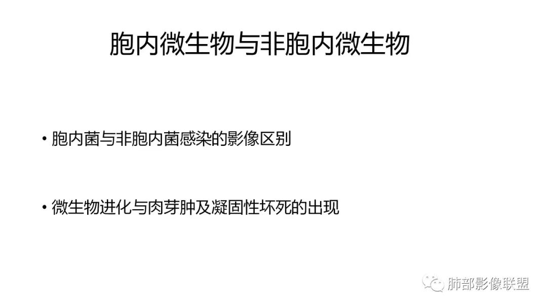 影像PPT - 【PPT】肺炎影像的三个基础问题-22 影像PPT - 【PPT】肺炎影像的三个基础问题-22