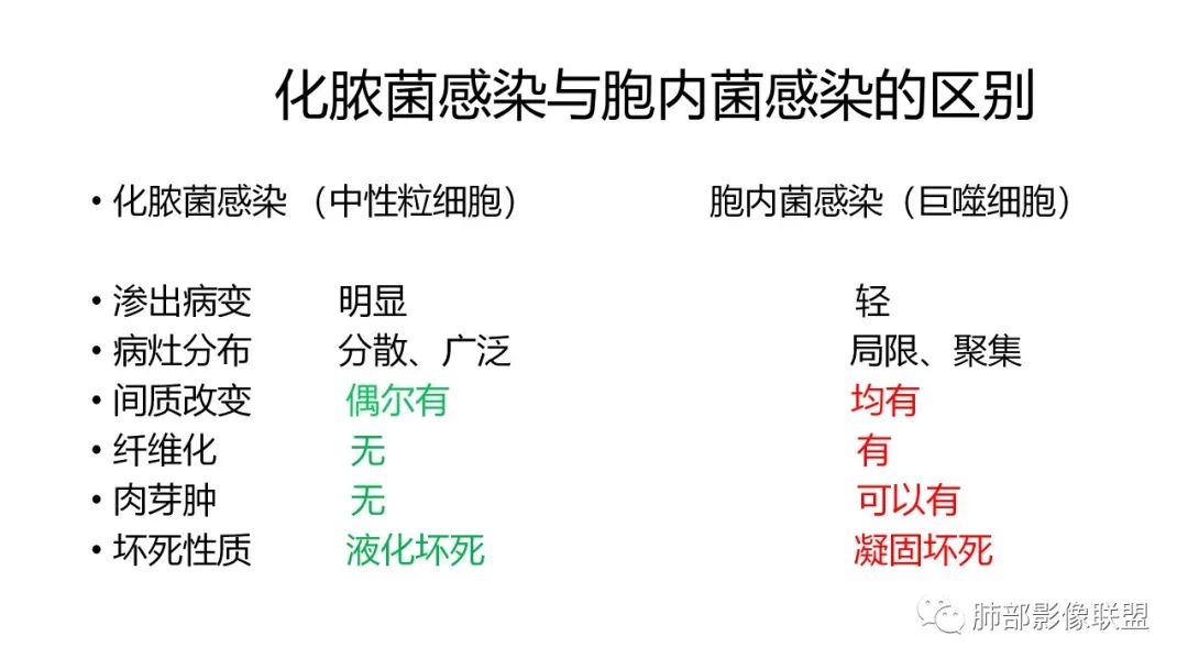 影像PPT - 【PPT】肺炎影像的三个基础问题-23 影像PPT - 【PPT】肺炎影像的三个基础问题-23
