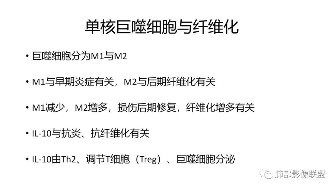 影像PPT - 【PPT】肺炎影像的三个基础问题-25 影像PPT - 【PPT】肺炎影像的三个基础问题-25