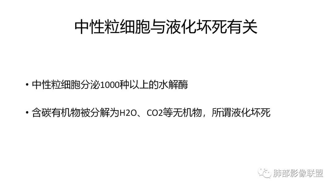 影像PPT - 【PPT】肺炎影像的三个基础问题-24 影像PPT - 【PPT】肺炎影像的三个基础问题-24