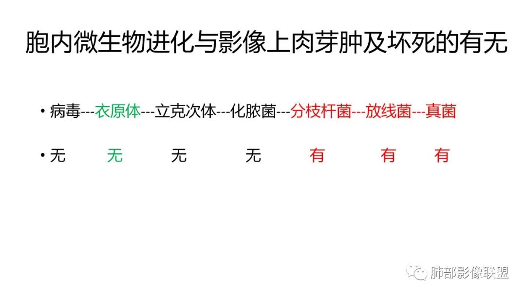 影像PPT - 【PPT】肺炎影像的三个基础问题-26 影像PPT - 【PPT】肺炎影像的三个基础问题-26
