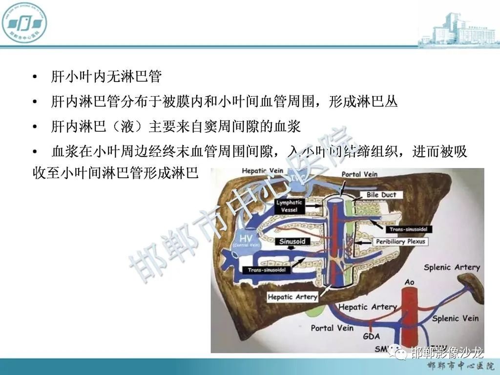 影像PPT - 【PPT】肝脏解剖、病理及影像的一点感悟-10