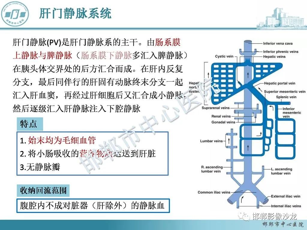 影像PPT - 【PPT】肝脏解剖、病理及影像的一点感悟-12