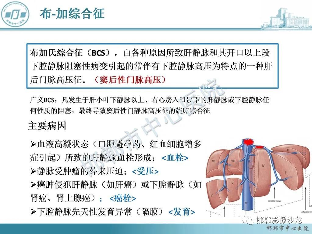 影像PPT - 【PPT】肝脏解剖、病理及影像的一点感悟-24