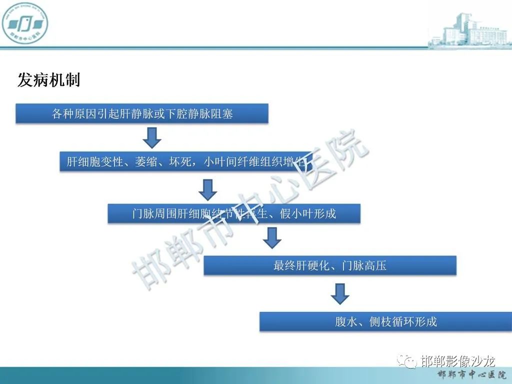 影像PPT - 【PPT】肝脏解剖、病理及影像的一点感悟-25