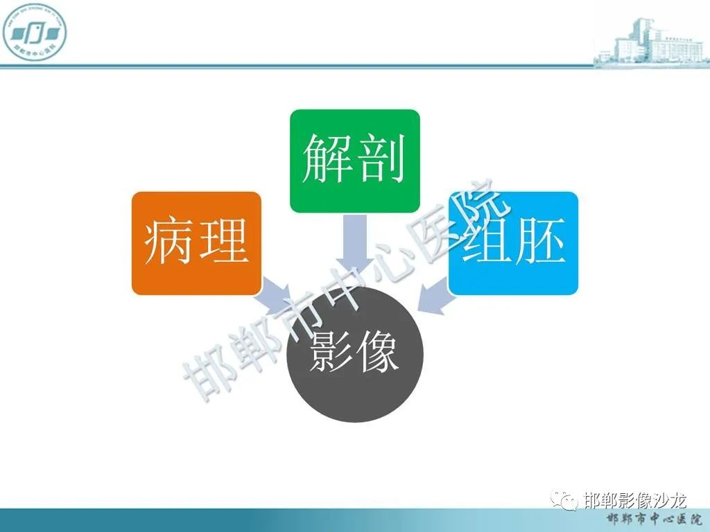 影像PPT - 【PPT】肝脏解剖、病理及影像的一点感悟-31