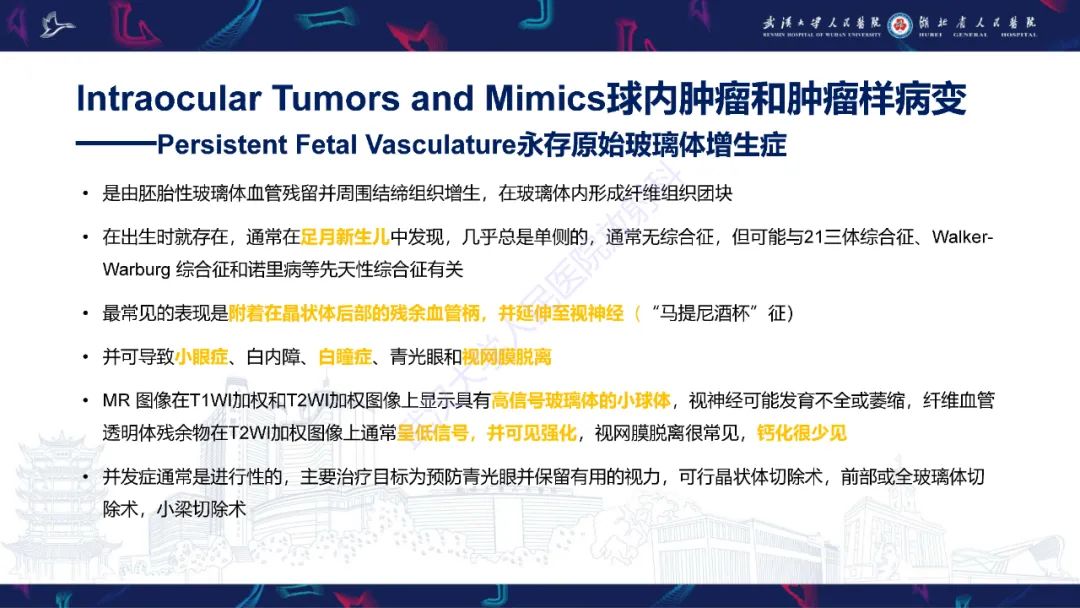 影像PPT - 【PPT】儿童眼眶肿瘤及肿瘤样病变影像诊断-13