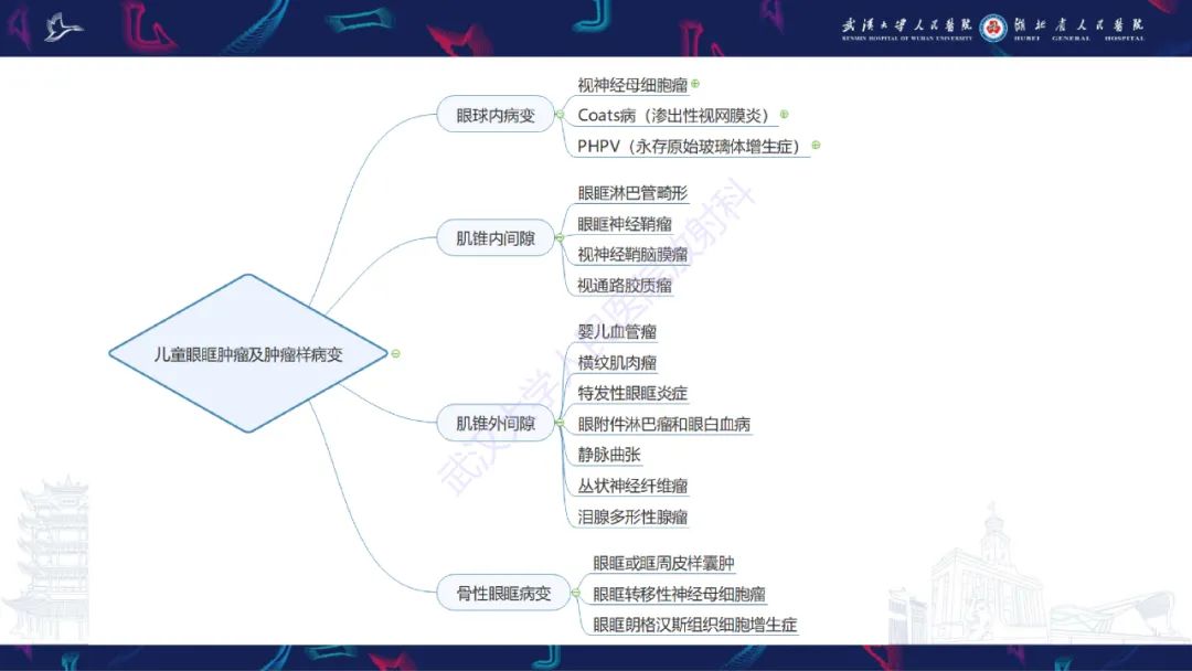 影像PPT - 【PPT】儿童眼眶肿瘤及肿瘤样病变影像诊断-66
